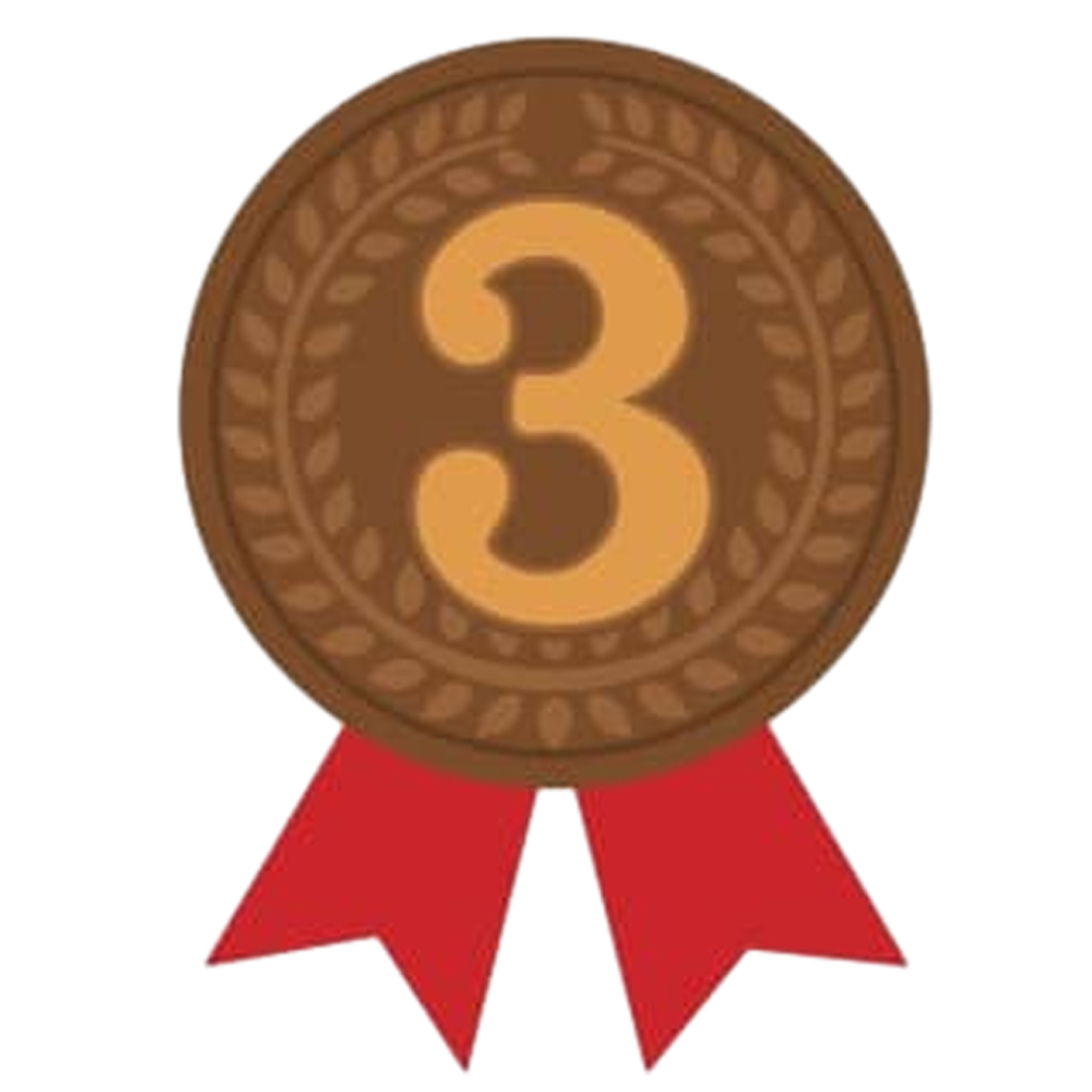 Medalla de bronce